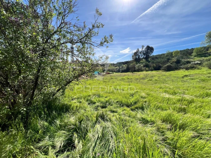 Terreno para Venda em Carvalhais Foto 3