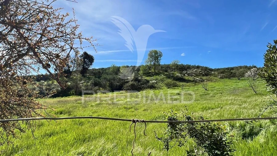 Terreno para Venda em Carvalhais
