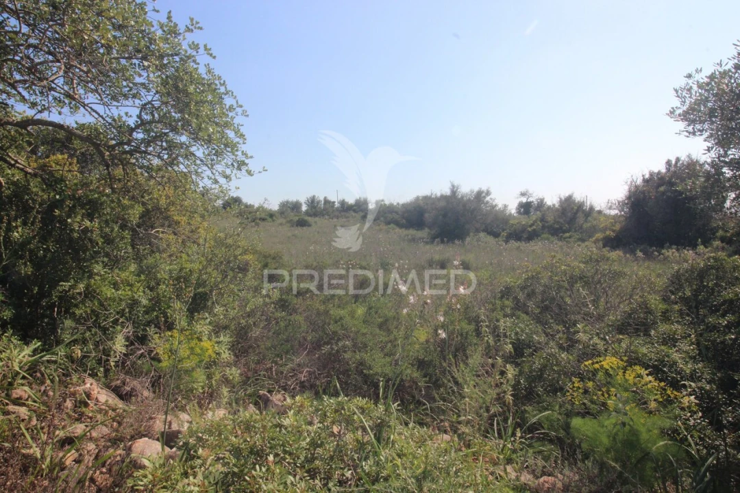 Moradia T3 para Venda em Algoz e Tunes Foto 31