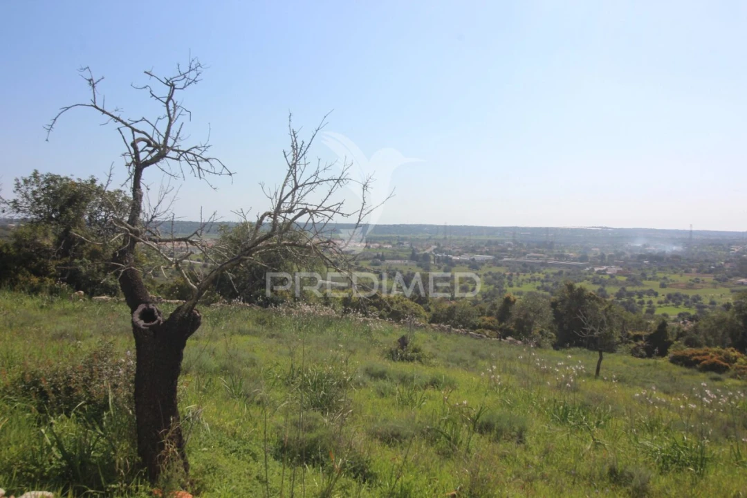 Moradia T3 para Venda em Algoz e Tunes Foto 13