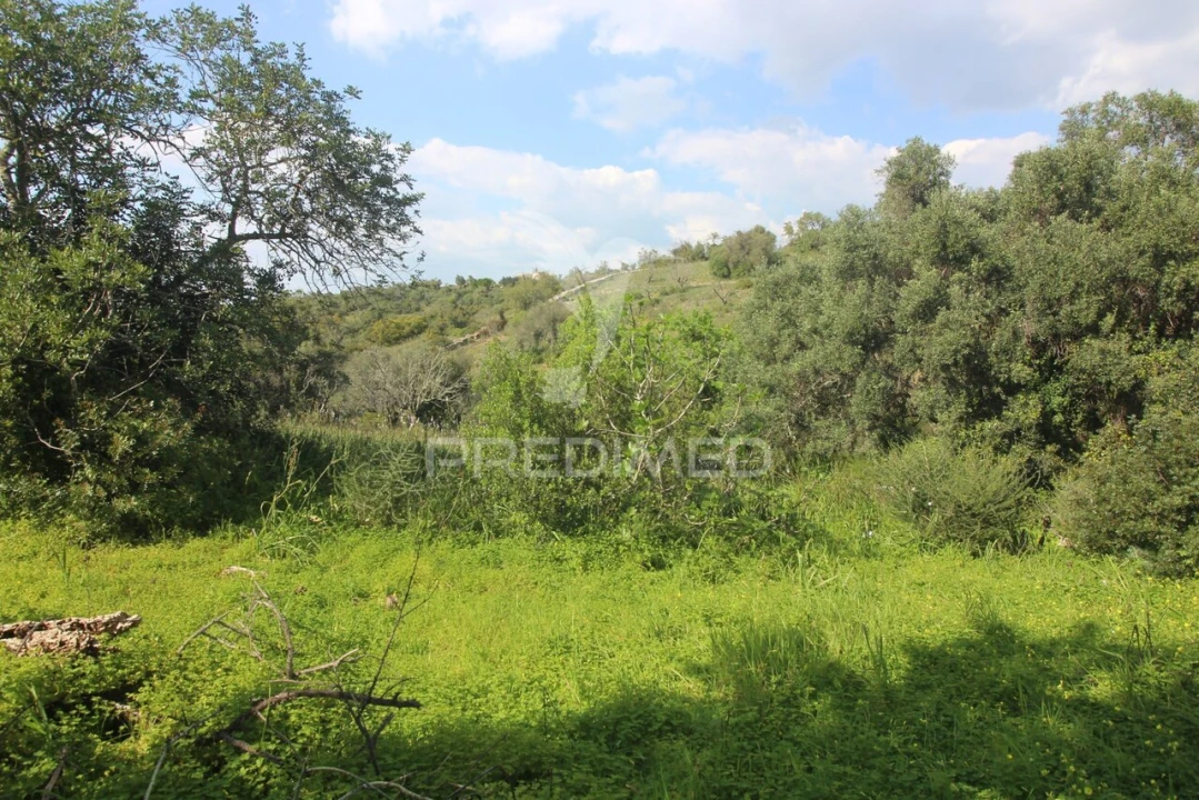 Moradia T3 para Venda em Algoz e Tunes Foto 32