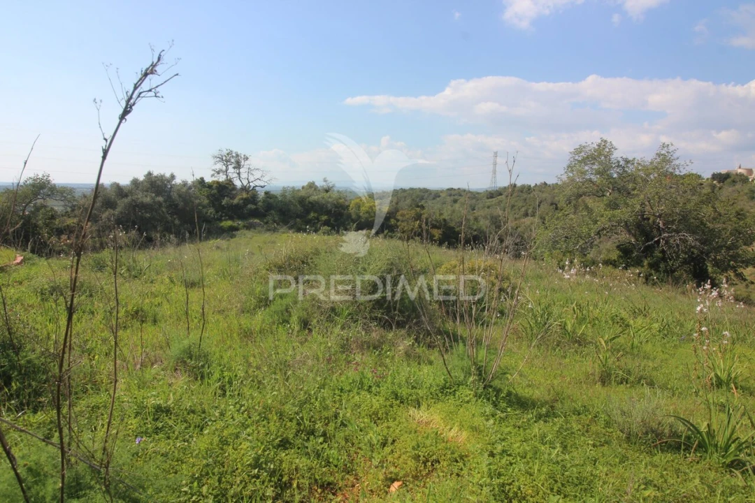 Moradia T3 para Venda em Algoz e Tunes Foto 17