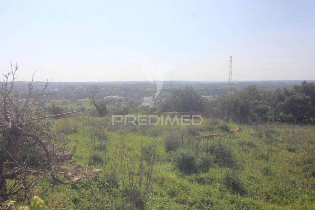 Moradia T3 para Venda em Algoz e Tunes Foto 30