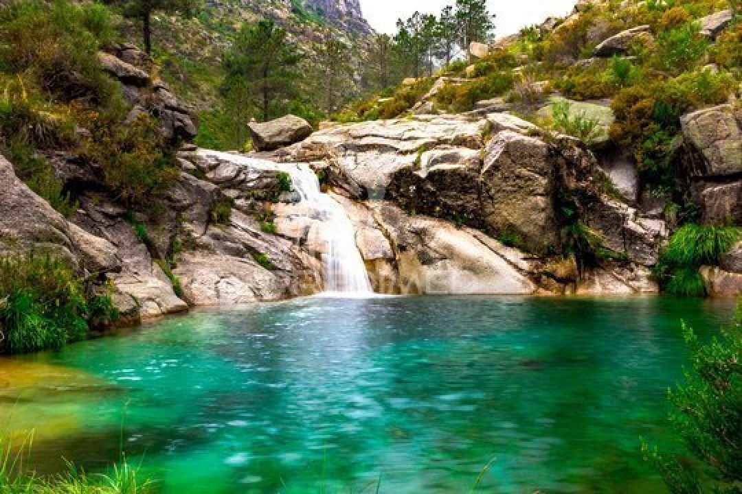 Moradia T2 para Venda em Salamonde Foto 30