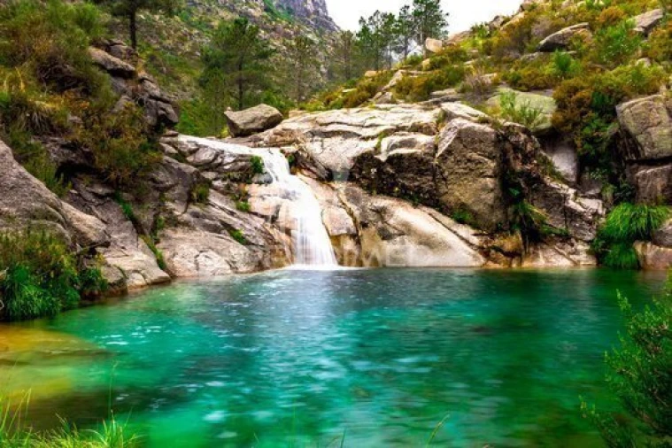 Moradia T2 para Venda em Salamonde Foto 30