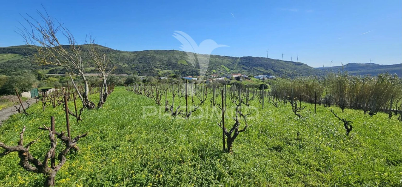 Terreno para Venda em Bucelas Foto 2