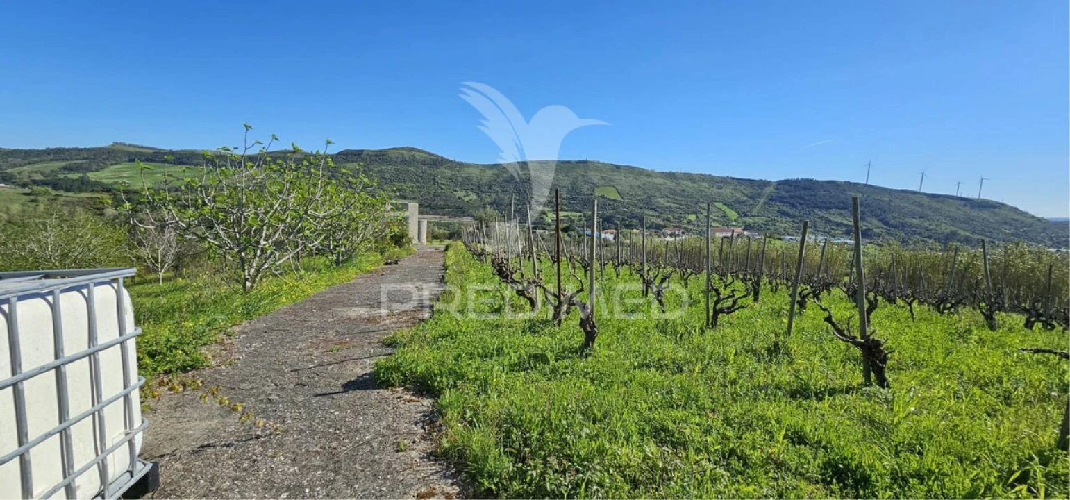 Terreno para Venda em Bucelas Foto 13