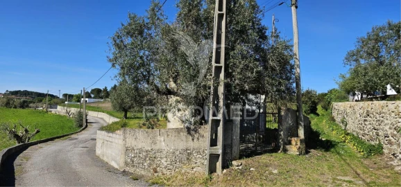 Terreno para Venda em Bucelas