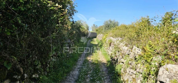 Terreno para Venda em Bucelas