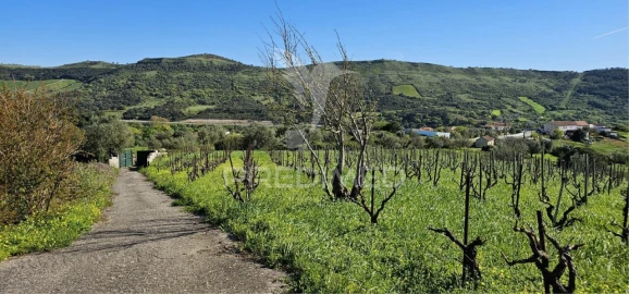 Terreno para Venda em Bucelas
