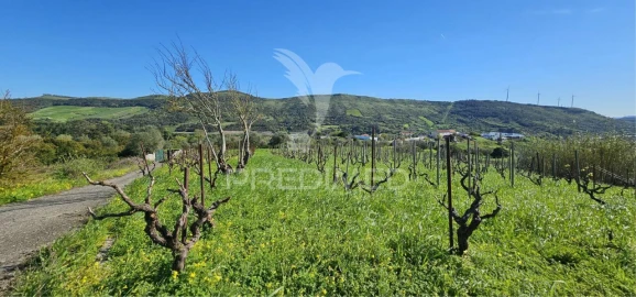 Terreno para Venda em Bucelas