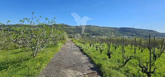 Terreno para Venda em Bucelas