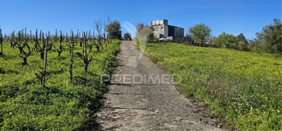 Terreno para Venda em Bucelas