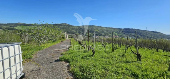Terreno para Venda em Bucelas