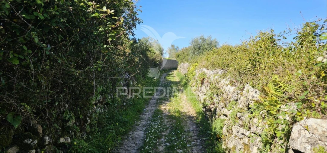 Terreno para Venda em Bucelas Foto 21