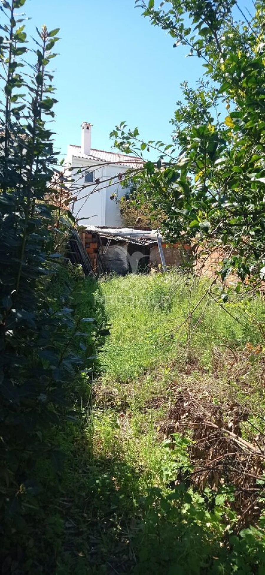 Moradia T4 para Venda em Alpalhão Foto 20