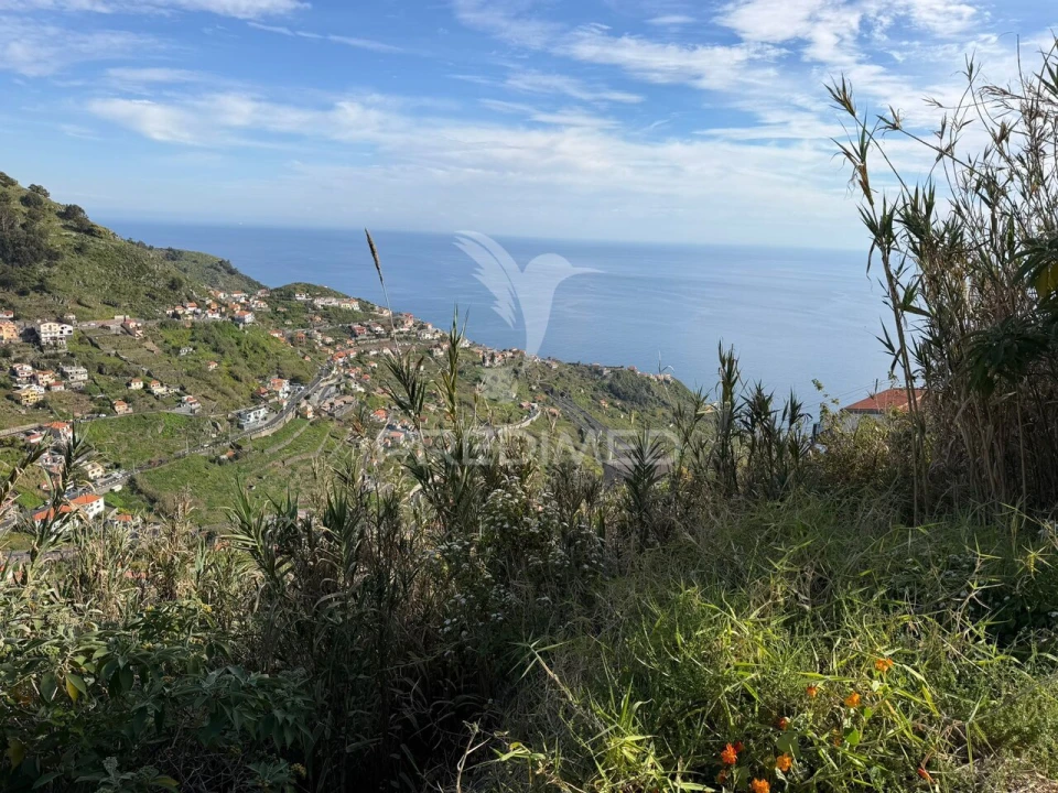 Terreno para Venda em Campanario Foto 3