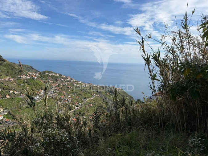 Terreno para Venda em Campanario Foto 5