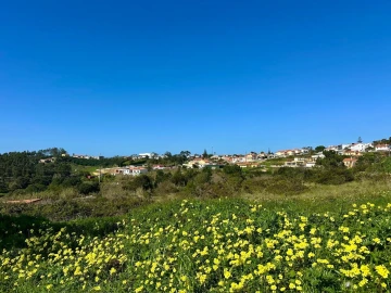 Terreno para Venda em Mafra