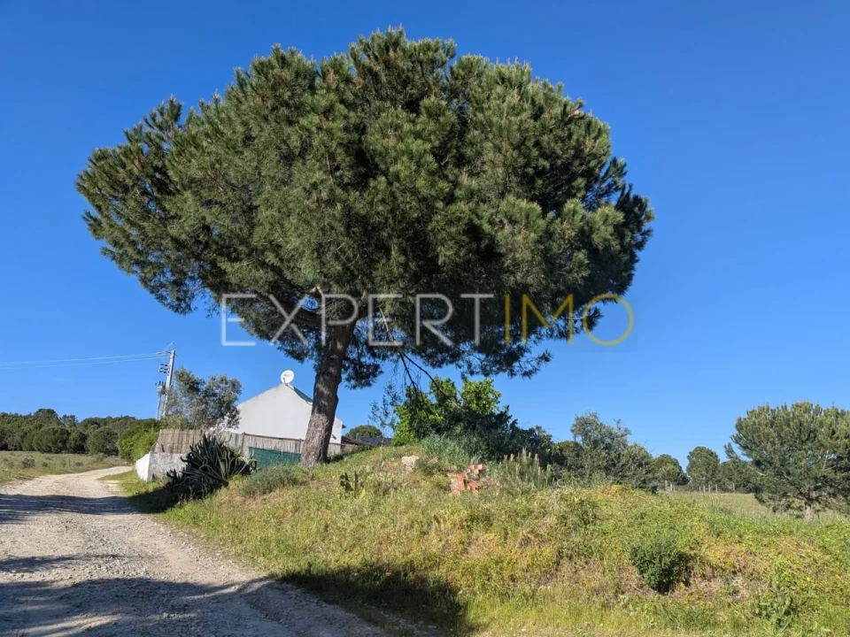 Terreno para Venda em Vendas Novas Foto 3