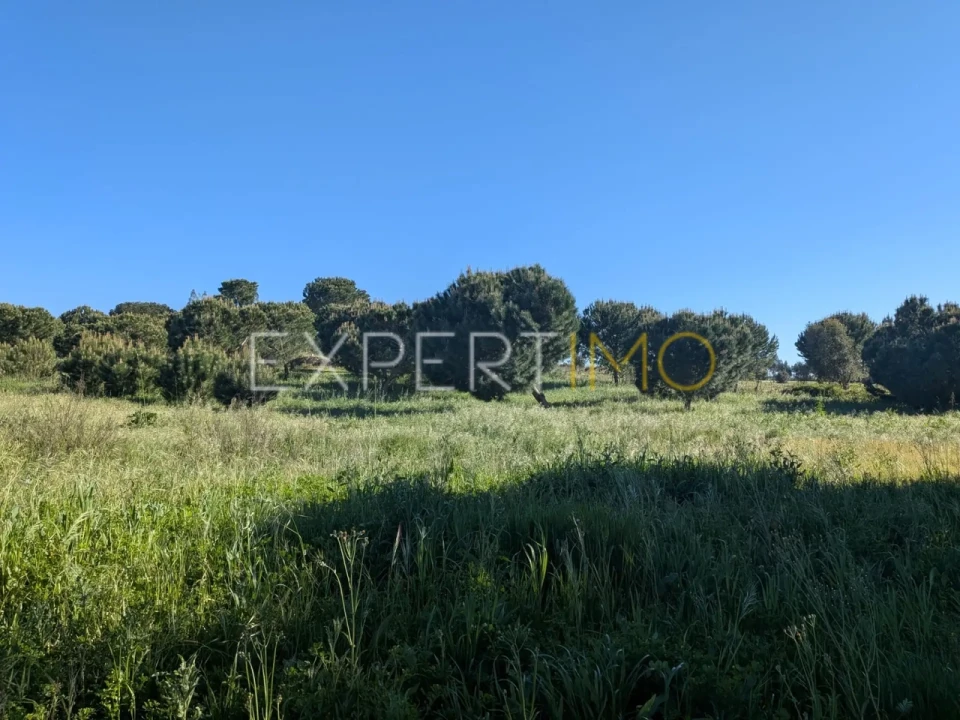 Terreno para Venda em Vendas Novas Foto 4