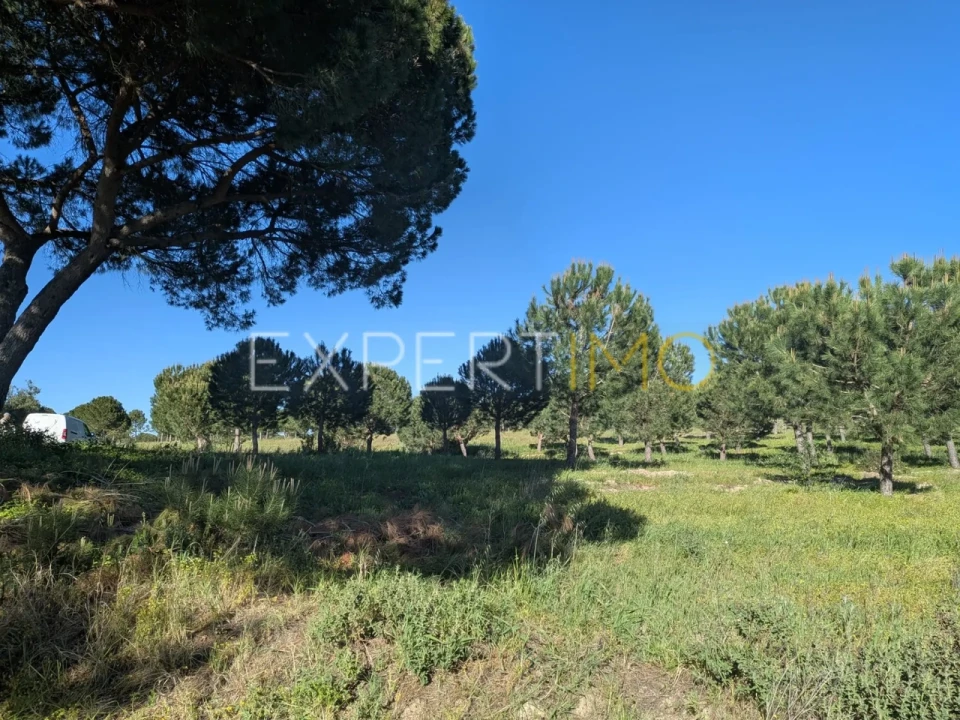 Terreno para Venda em Vendas Novas Foto 8