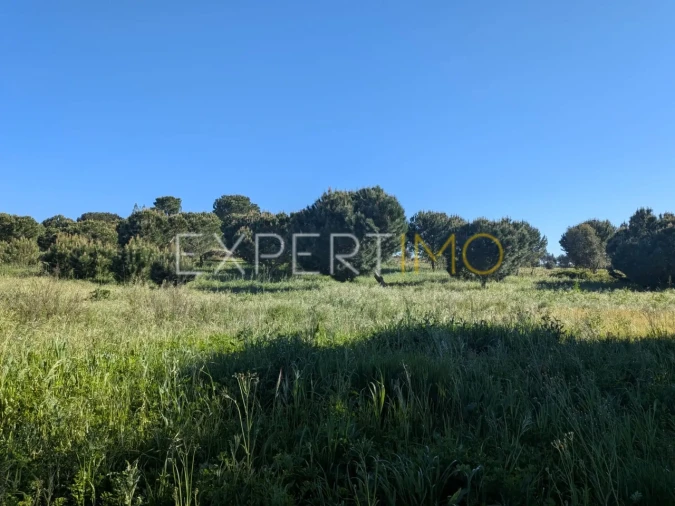 Terreno para Venda em Vendas Novas Foto 4