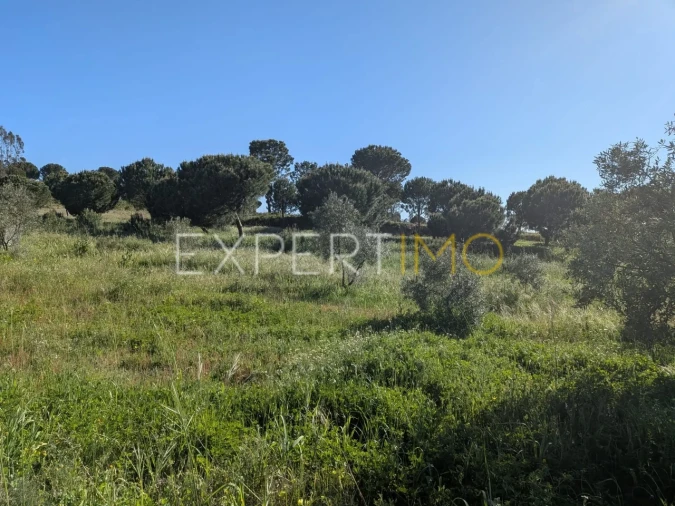 Terreno para Venda em Vendas Novas Foto 5