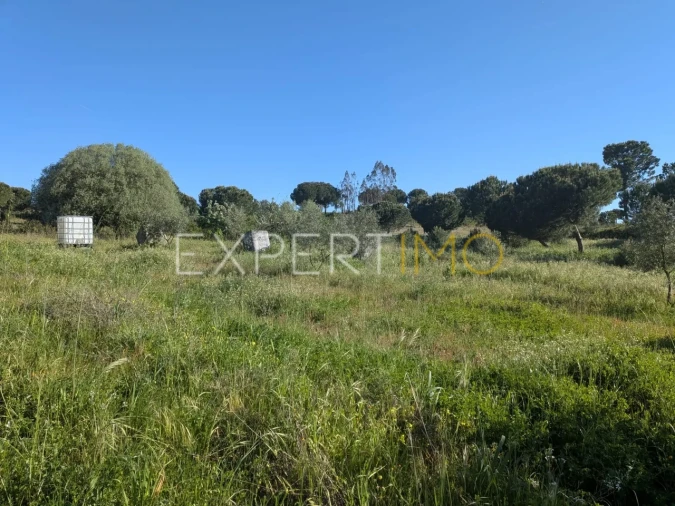 Terreno para Venda em Vendas Novas Foto 6