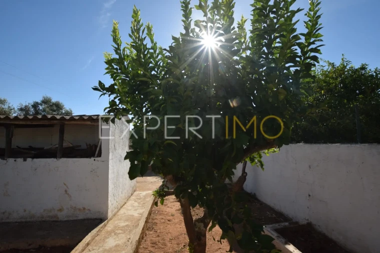 Moradia T2 para Venda em Terrugem e Vila Boim Foto 29