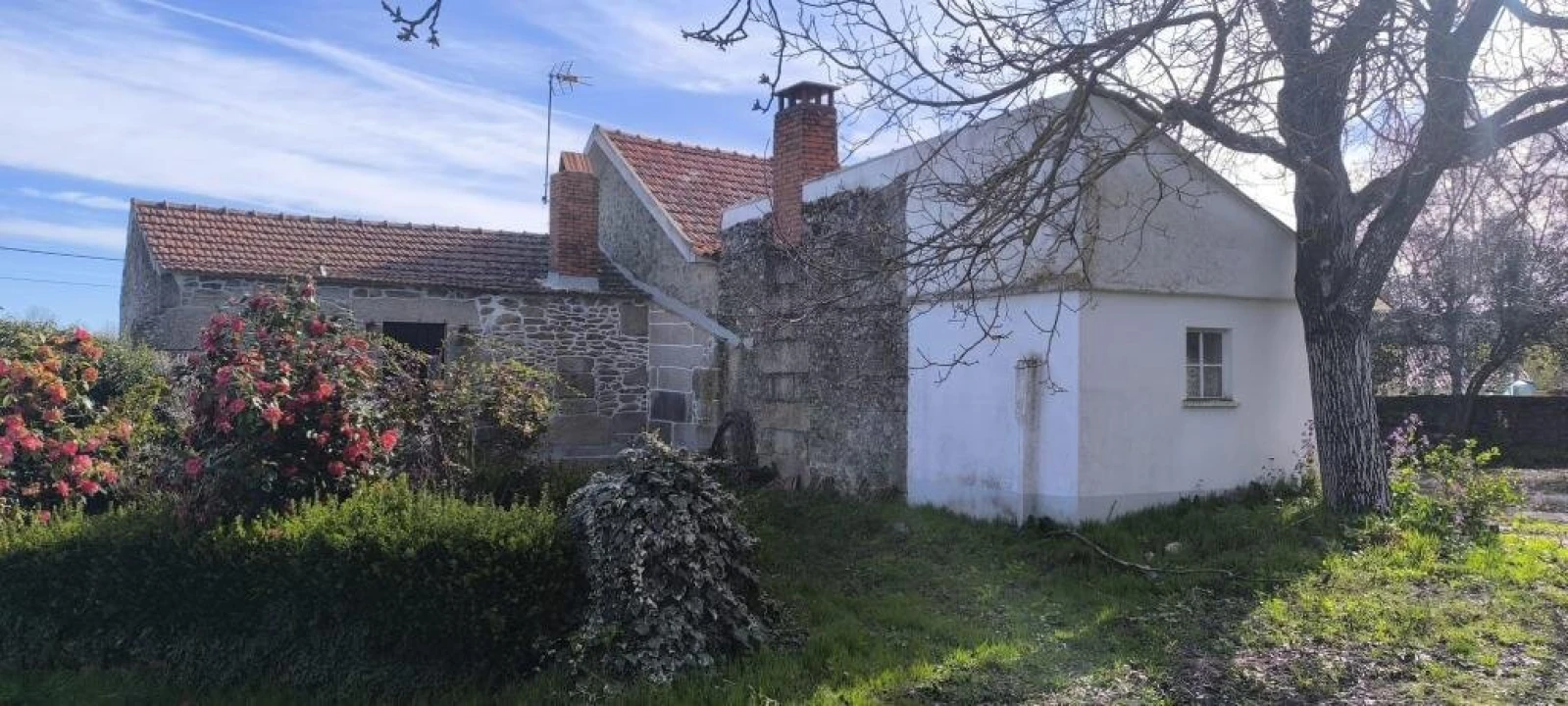 Moradia T3 para Venda em Vila Fernando Foto 3