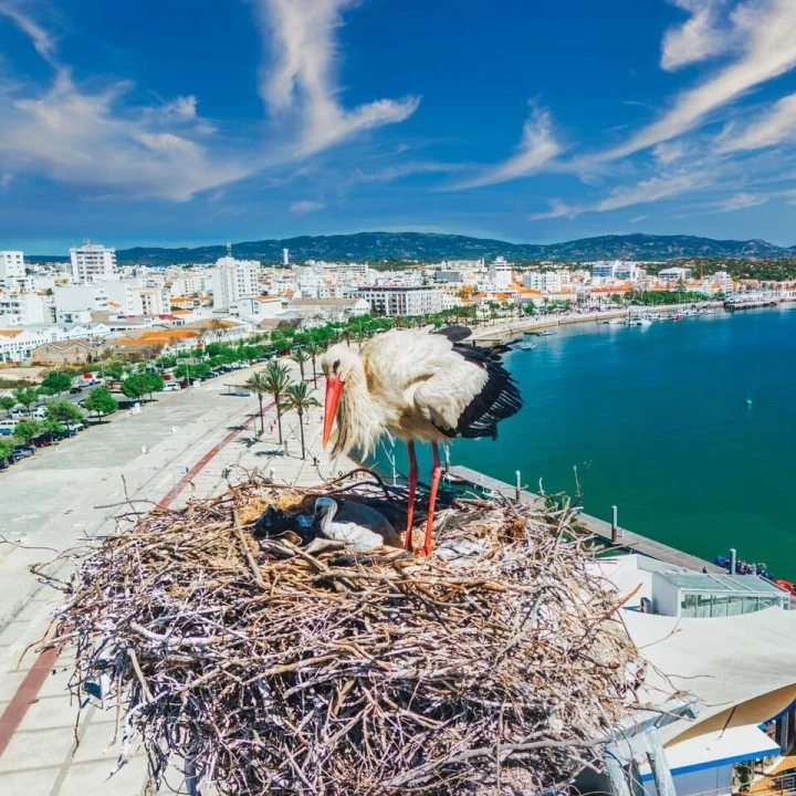 Loja para Venda em Portimão Foto 10