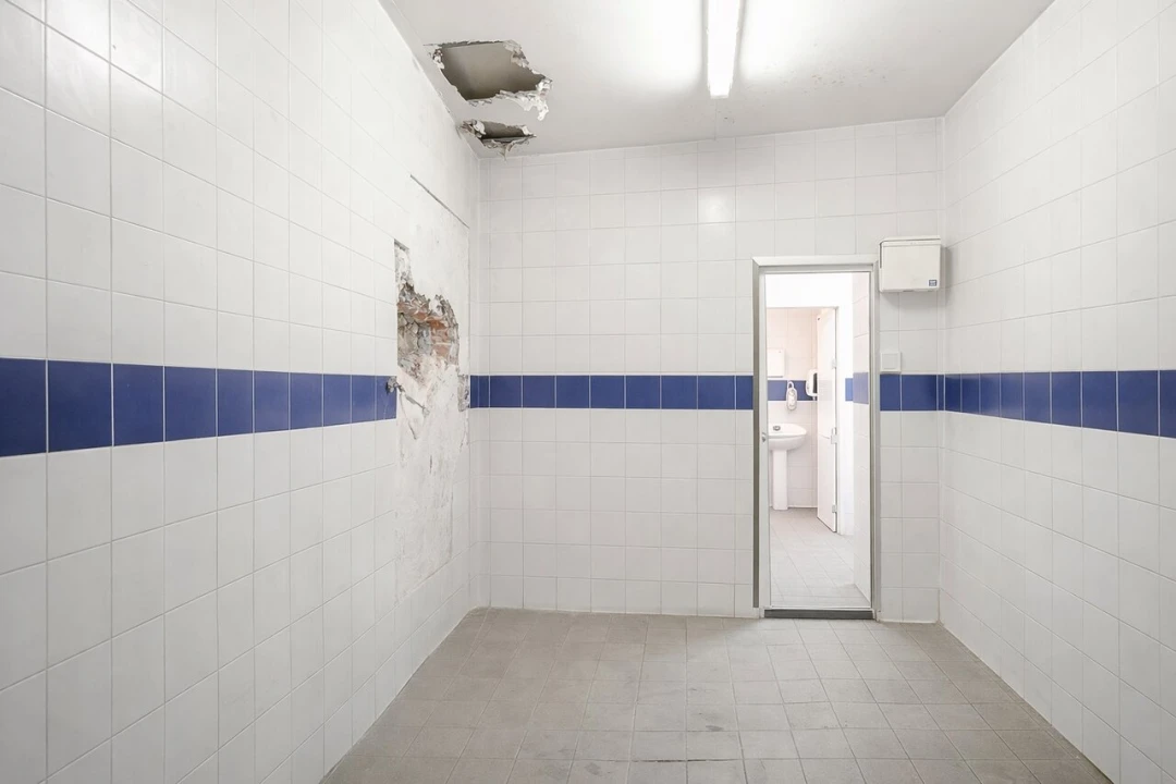 Loja para Arrendamento em Estrela Foto 6