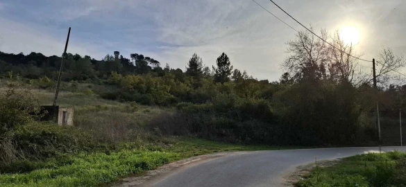 Quinta T6 para Venda em Marmeleira e Assentiz