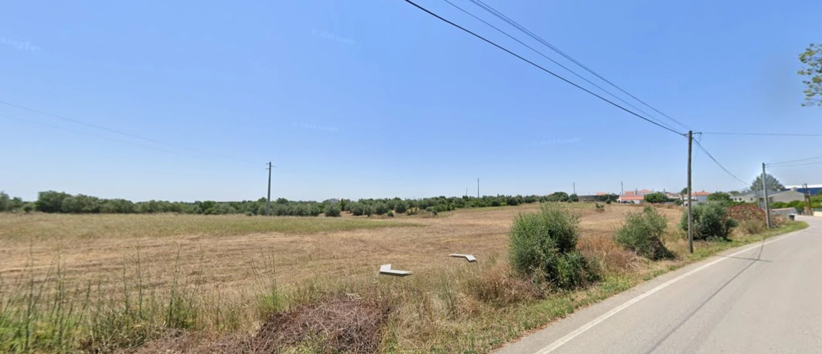 Terreno para Venda em Marmeleira e Assentiz Foto 3