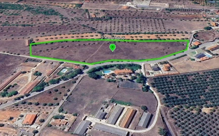 Terreno para Venda em Marmeleira e Assentiz