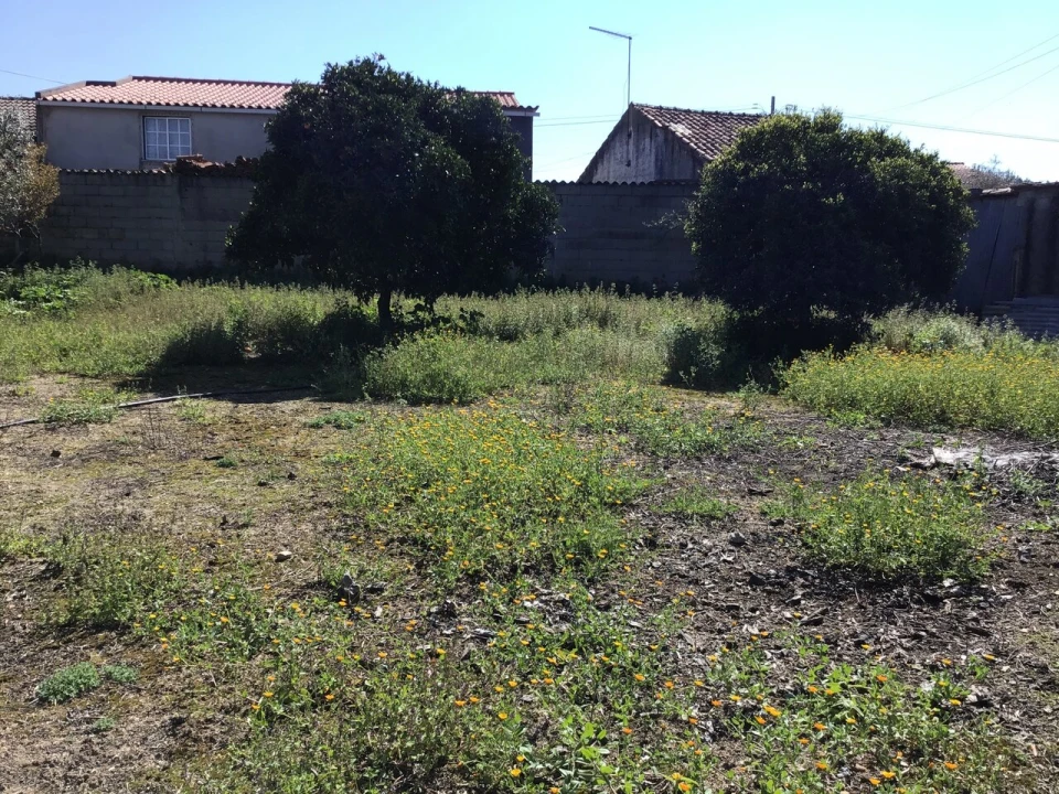 Moradia T2 para Venda em Alvega e Concavada Foto 17