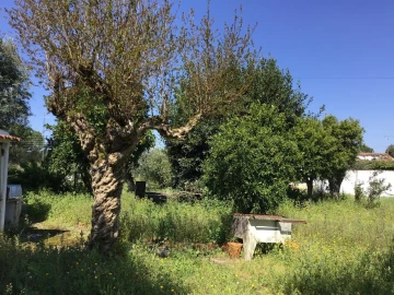 Moradia T2 para Venda em Alvega e Concavada