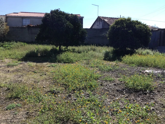 Moradia T2 para Venda em Alvega e Concavada Foto 17