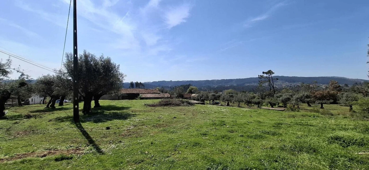 Quinta T0 para Venda em Nossa Senhora do Pranto Foto 5