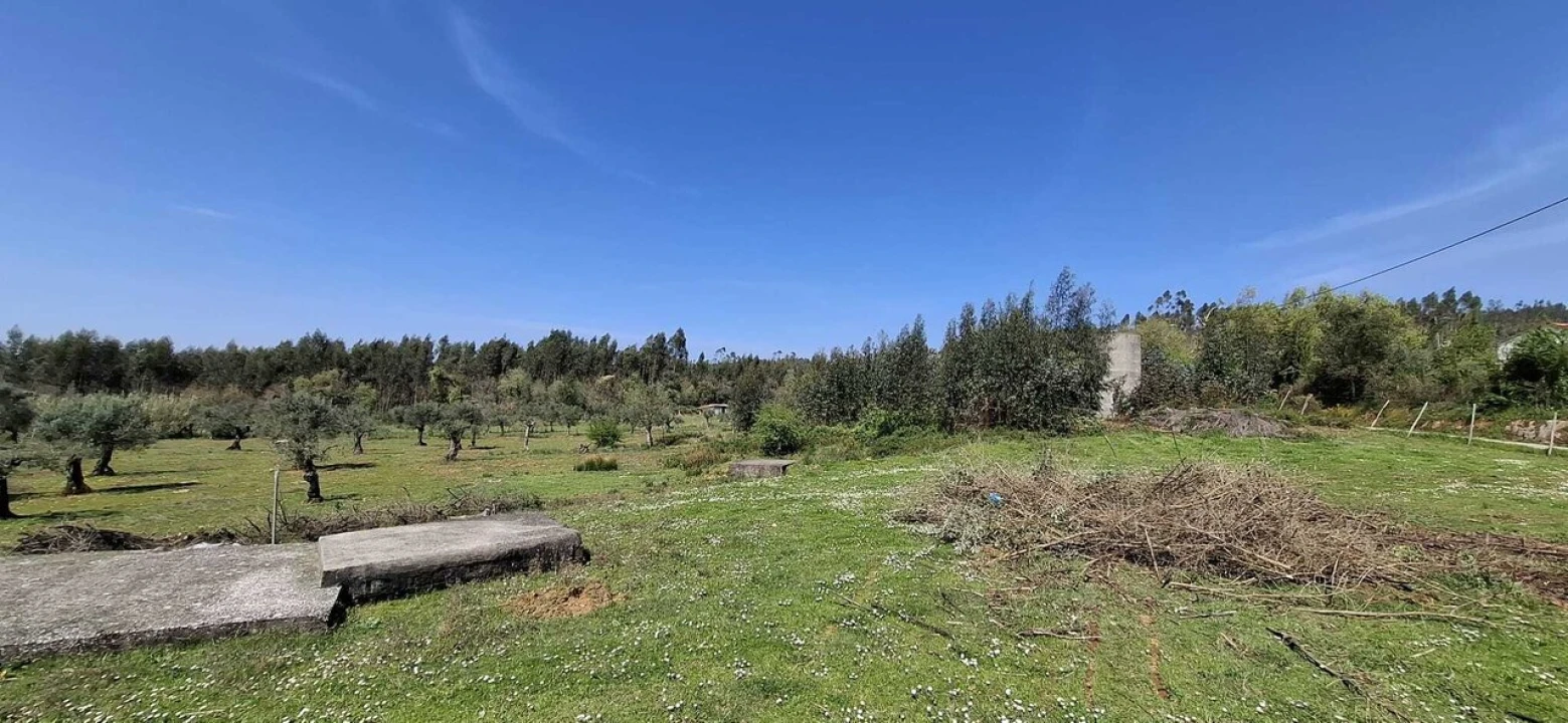 Quinta T0 para Venda em Nossa Senhora do Pranto Foto 7