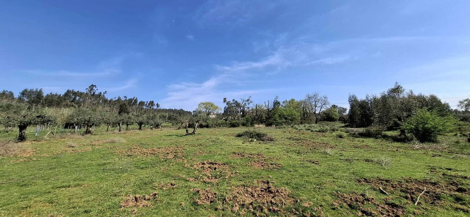 Quinta T0 para Venda em Nossa Senhora do Pranto Foto 8