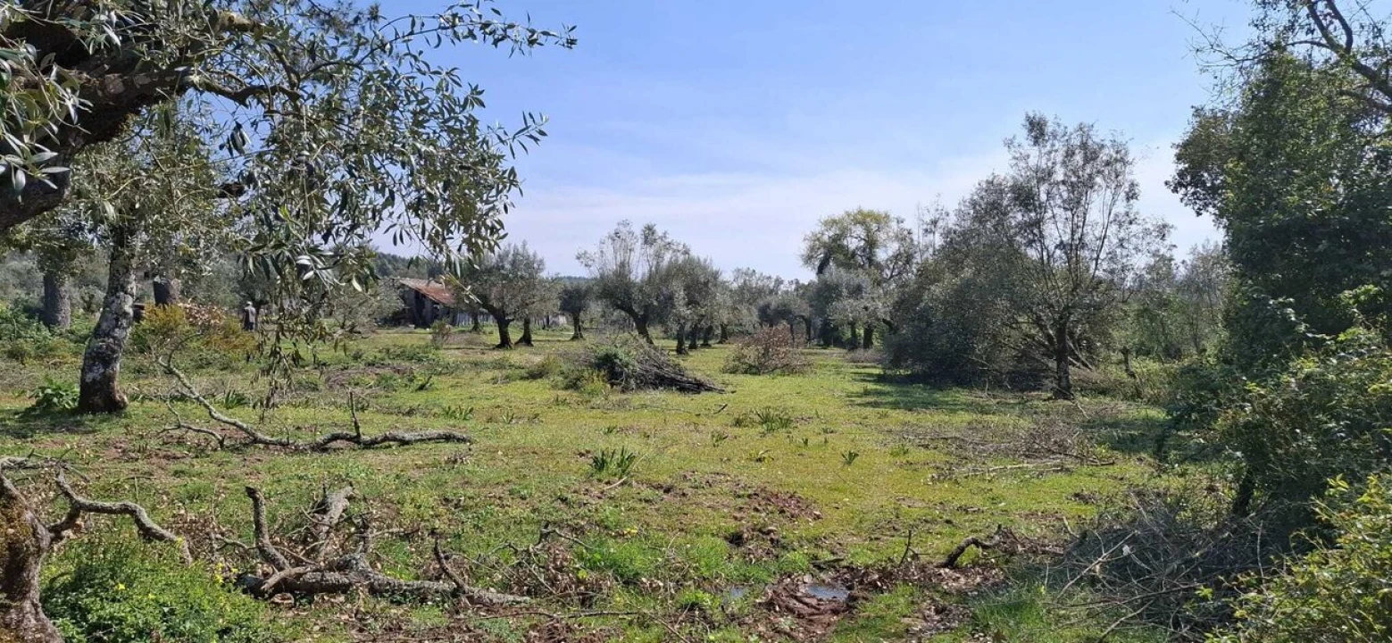 Quinta T0 para Venda em Nossa Senhora do Pranto Foto 12