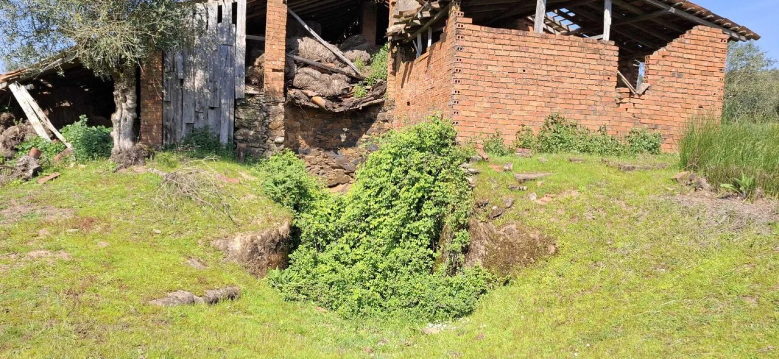 Quinta T0 para Venda em Nossa Senhora do Pranto Foto 15