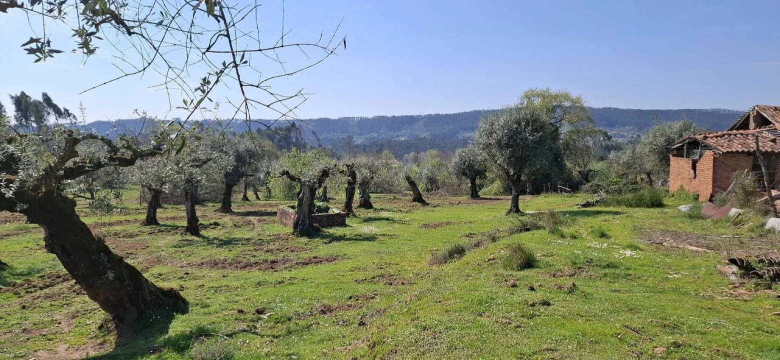 Quinta T0 para Venda em Nossa Senhora do Pranto Foto 16