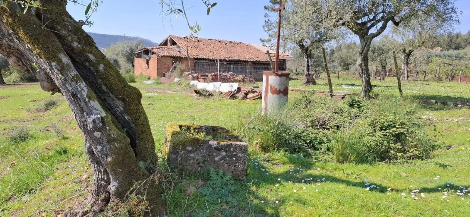 Quinta T0 para Venda em Nossa Senhora do Pranto Foto 17