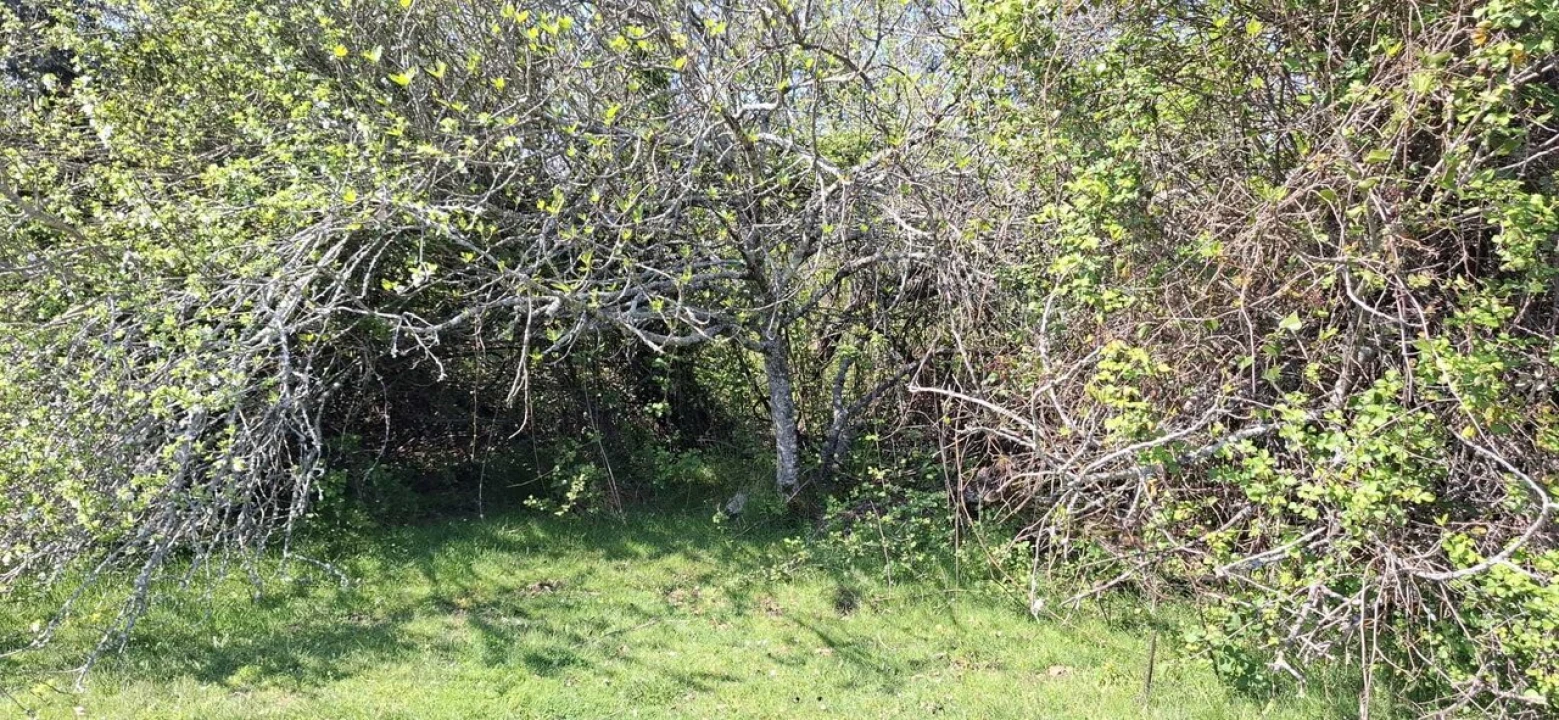 Quinta T0 para Venda em Nossa Senhora do Pranto Foto 19