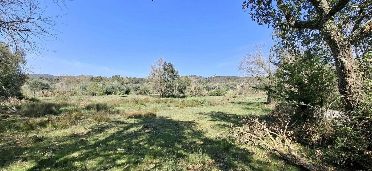 Quinta T0 para Venda em Nossa Senhora do Pranto Foto 21