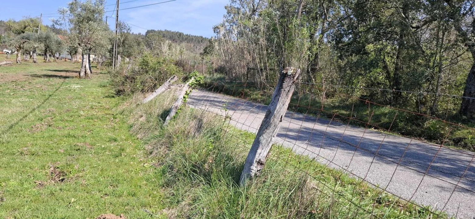 Quinta T0 para Venda em Nossa Senhora do Pranto Foto 26
