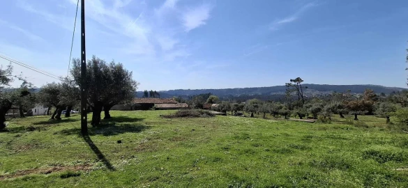 Quinta T0 para Venda em Nossa Senhora do Pranto
